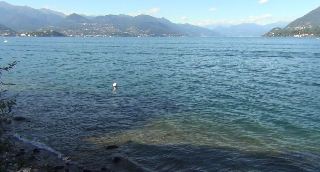 Si tuffa nel lago Maggiore e sbatte la testa, rischia paralisi